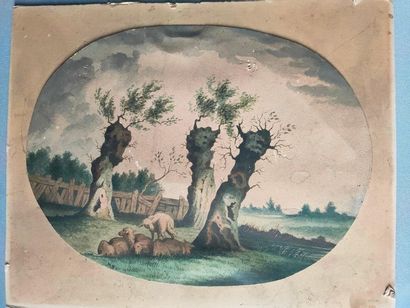 Watercolour drawing on paper pasted on cardboard,...